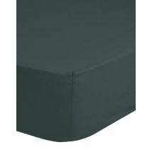 Good Morning Drap-housse coton sv d.vert Drap-housse 180x220 d.vert