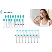 Wellhealth - Jeu de 16 ou 32 têtes de brossage universelles pour votre brosse à dents électrique - Convient à Philips Sonicare/Flexcare - 32 têtes de brossage