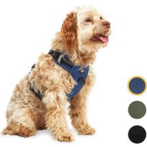 Harnais pour chien Jake et Jacky - Harnais anti-traction - Harnais pour chien - Harnais Y pour chien - Réfléchissant - Bleu - Taille M