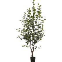 Mica Decorations Plante Artificielle Eucalyptus en Pot - H180 x Ø80 cm - Vert