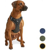 Harnais pour chien Jake et Jacky - Harnais anti-traction - Harnais pour chien - Harnais Y pour chien - Réfléchissant - Noir - Taille L
