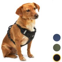 Harnais pour chien Jake et Jacky - Harnais anti-traction - Harnais pour chien - Harnais Y pour chien - Réfléchissant - Noir - Taille S