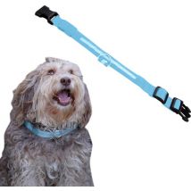 Collier lumineux pour chien - Extra fort - XS 28 cm à 38 cm - Collier pour chien - Collier à mousqueton - Ajustable - Réfléchissant