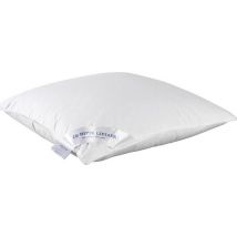 De Witte Lietaer Oreiller Dream - 60 x 70 cm - Garniture en polyester