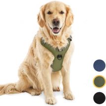 Harnais pour chien Jake et Jacky - Harnais anti-traction - Harnais pour chien - Harnais Y pour chien - Réfléchissant - Vert - Taille XL