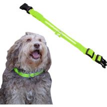 Dutchwide Collier lumineux pour chien - Extra fort - XS 28 cm à 38 cm - Collier pour chien - Collier à mousqueton - Ajustable - Réfléchissant