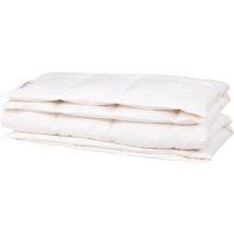 Balette Silver - Couette en duvet toute l'année - 140x200