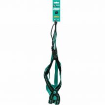 Dog Harness Olympia L