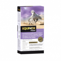 EQUINOX Flexen
