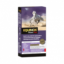 EQUINOX Flexen Plus