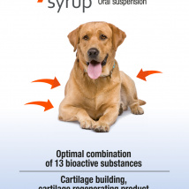 Synomax Sirup für Hunde