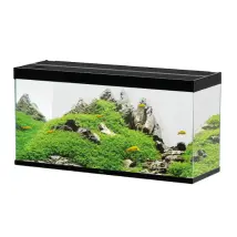 Askoll Acquario Ciano Emotions Nature Pro 100 portata 210 litri Nero Misura 102,4x40,2x61 cm - 1° ORDINE? scegli tra BZR5 - BZR20 + 200 pt fedeltà