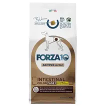 Forza10 Active Cane Intestinal Colon Fase 1 con Agnello e Sorgo bianco 10 kg - Croccantini per cani - 1° ORDINE? scegli tra BZR5 - BZR20 + 200 pt fedeltà