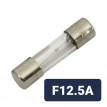 Mercury Quick Blow Glass Fuse 5 x 20mm F12.5A