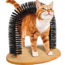 Cat Massage Arch Brush