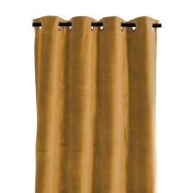 Rideaux en velours Delhi 135x300 cm - Haomy - Harmony Textile, Chamois