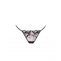 Bluebella Persephone Brief Sheer/Black