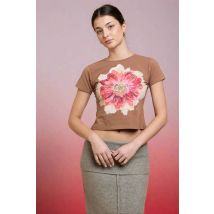 Daisy Street Flower Motif Baby Tee Colour: Brown Size: 12