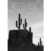 DESERT CACTUS: Photography Art Print - A3 / Black & white