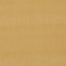 Clarke & Clarke Alvar Velvet Fabric Gold
