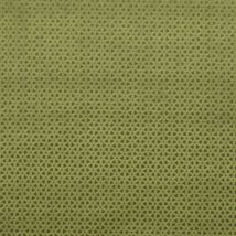 Clarke & Clarke Loreto Fabric Olive