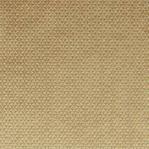 Clarke & Clarke Loreto Fabric Gold