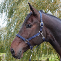 GS Equestrian Padded Head Collar - Navy / Small Pony