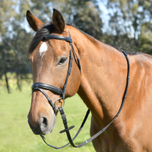 Kincade Classic Plain Raised Flash Bridle With Reins - Black / Cob