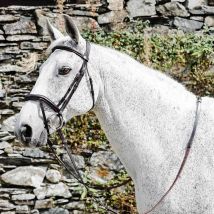 Mackey Legend Apollo Bridle - Brown / Full