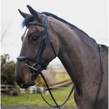 Mackey Legend Apollo Bridle - Black / Cob