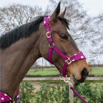 Supreme Products Dotty Fleece Head Collar & Lead Rope - Magical Mulberry / Cob