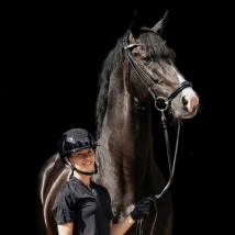 Finesse Spirit Drop Nose Bridle - Black/Black Silver / Pony