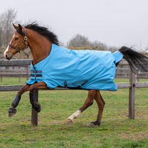 Horseware Ireland Amigo Hero 900 Turnout Lite 0g - Capri/Gunmetal/Bluebell / 5'6