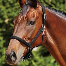 Collegiate ComFiTec Leather Headcollar - Black / Pony