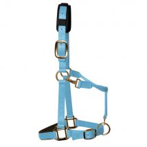 KM Elite Padded Headcollar - Baby Blue / Cob