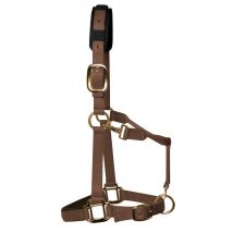 KM Elite Padded Headcollar - Brown / Cob