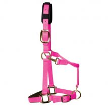 KM Elite Padded Headcollar - Hot Pink / Large Pony
