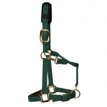 KM Elite Padded Headcollar - Hunter Green / Cob