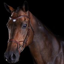Collegiate ComFiTec Training Bridle - Brown / Cob