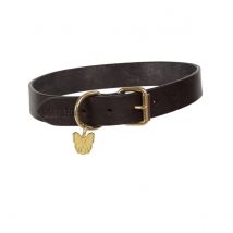 Shires Digby & Fox Flat Leather Dog Collar - Brown / XXL