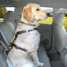 Kurgo Tru-Fit Smart Harness With Seatbelt Tether - Black / XL