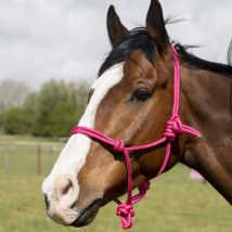 GS Equestrian Rope Halter - Fuchsia / Cob