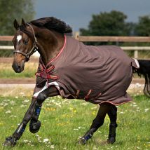 Horseware Ireland Amigo Bravo 12 Original 0g Lite Turnout Rug with Disc Front Closure - Brown/Red/Gold / 6'3