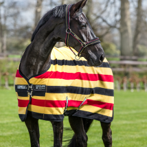 Horseware Ireland Rambo Deluxe Fleece - Witney Gold / 4'6