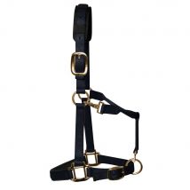 KM Elite Padded Headcollar - Black / Large Pony