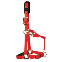 KM Elite Padded Headcollar - Red / X Full