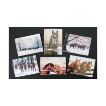Caroline Cook Christmas Cards - Pack of 12