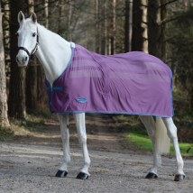 Weatherbeeta Scrim Cooler Standard Neck - Violet/Blue / 4'6
