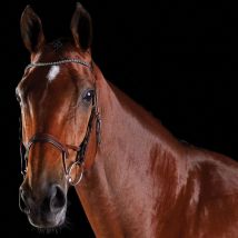 Collegiate ComFiTec Crystal Bridle - Brown / Cob