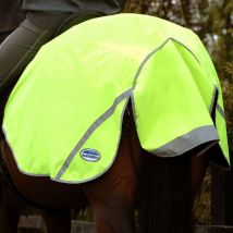 Weatherbeeta 300D Reflective Exercise Sheet - Yellow / XS